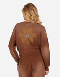 Arleta Butterfly Daisy