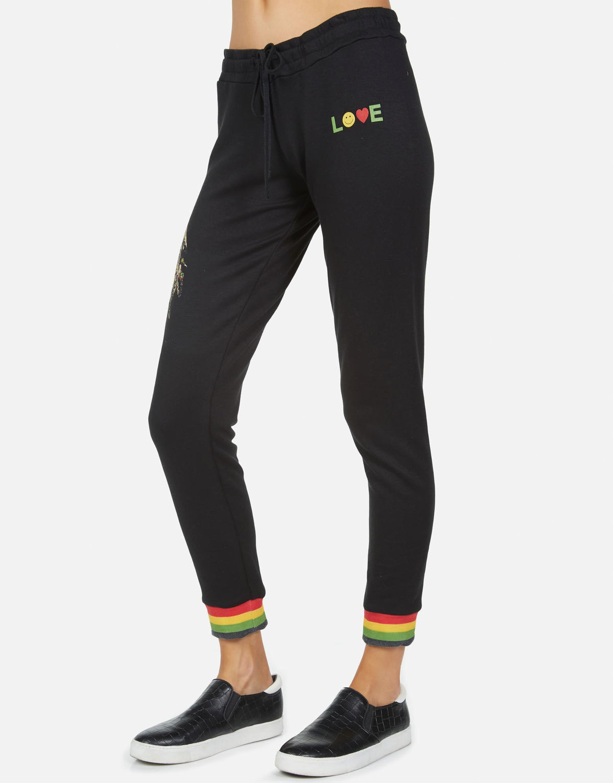 Valencia Rasta Lion