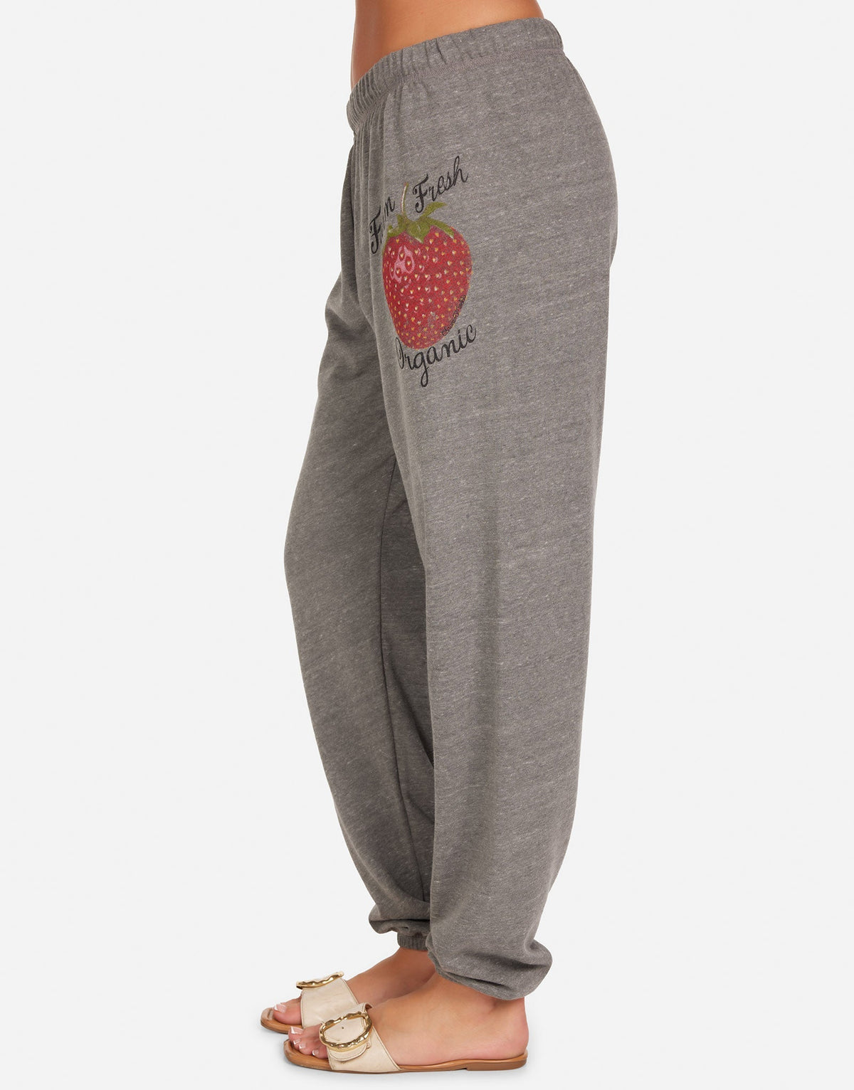Tanzy Organic Strawberry