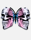 Butterfly Skull